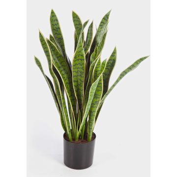 Künstliche Sansevieria BEYZA, grün-gelb, 95cm Künstliche Sansevieria BEYZA, grün-gelb, 95cm