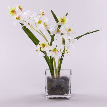 Dendrobium Orchidee künstlich ZUZA in Dekoglas, weiß-grün, 35cm Dendrobium Orchidee künstlich ZUZA in Dekoglas, weiß-grün, 35cm
