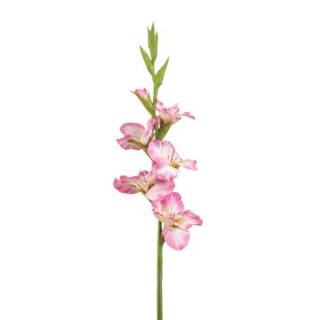 Kunst Gladiole KIVANA, rosa-weiß, 90cm Kunst Gladiole KIVANA, rosa-weiß, 90cm