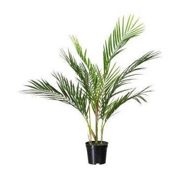 Deko Palme Areca YONNE, 70cm
