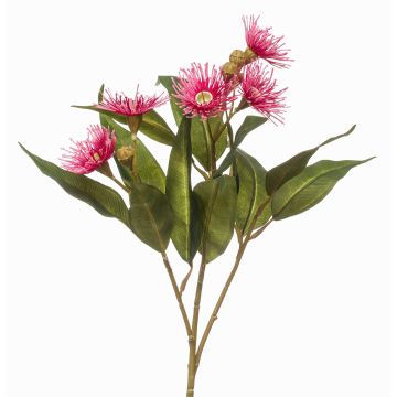 Kunstzweig Eukalyptus MEVARD mit Blüten, pink, 60cm, Ø6cm Kunstzweig Eukalyptus MEVARD mit Blüten, pink, 60cm, Ø6cm