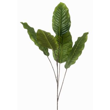 Deko Zweig Dieffenbachia ZERVAN, grün, 110cm