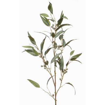 Kunstzweig Eukalyptus JURKA mit Früchten, grün-grau, 115cm
