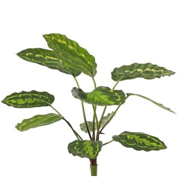 Kunstpflanze Calathea roseopicta WENFYN, Steckstab, grün, 55cm