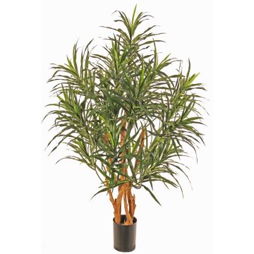 Kunstbaum Dracaena reflexa anita SENFYN, Naturstämme, grün, 95cm
