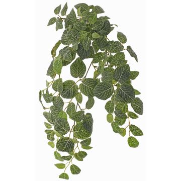 Künstliche Pflanze Fittonia LONFYN, Steckstab, hängend, grün, 75cm Künstliche Pflanze Fittonia LONFYN, Steckstab, hängend, grün, 75cm
