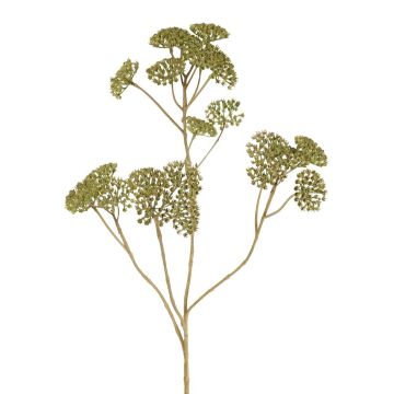 Schafgarbe Deko Zweig ORTEGA, grün, 75cm, Ø7-13cm