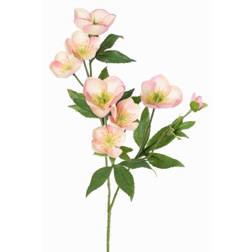 Künstlicher Christrosen Zweig ANYALA, rosa-weiß, 60cm, Ø5-6cm Künstlicher Christrosen Zweig ANYALA, rosa-weiß, 60cm, Ø5-6cm