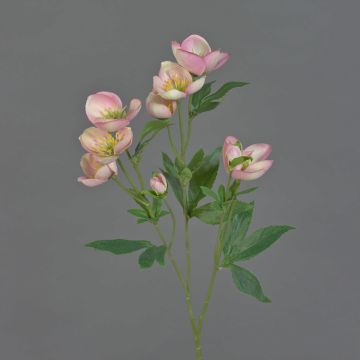 Künstlicher Christrosen Zweig ANYALA, rosa-weiß, 60cm, Ø5-6cm