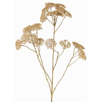 Schafgarbe Deko Zweig ORTEGA, beige, 75cm, Ø7-13cm