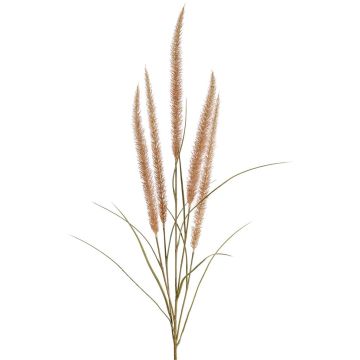 Dekozweig Federborstengras AREVALO mit Rispen, beige, 135cm