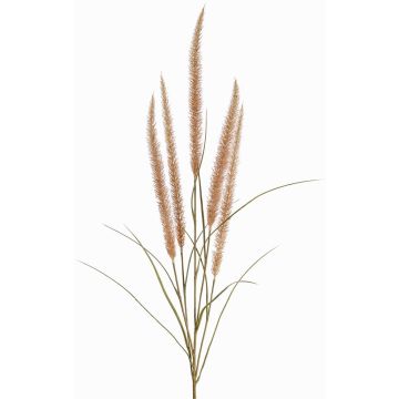 Dekozweig Federborstengras AREVALO mit Rispen, beige, 135cm