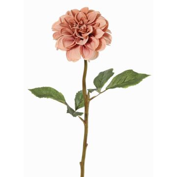 Kunstblume Dahlie BREDANA, altrosa, 60cm, Ø11cm Kunstblume Dahlie BREDANA, altrosa, 60cm, Ø11cm