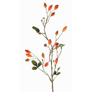 Heckenrosen Deko Zweig ZERBST mit Hagebutten, orange-rot, 80cm