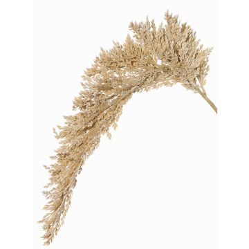 Künstlicher Sorghumhirse Zweig BOTTO mit Ähren, creme, 95cm
