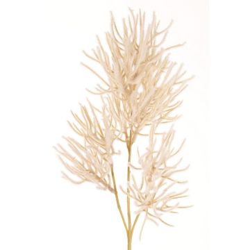 Dekozweig Koralle BILBAS, creme, 70cm Dekozweig Koralle BILBAS, creme, 70cm