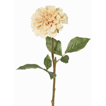 Kunstblume Dahlie BREDANA, beige, 60cm, Ø11cm