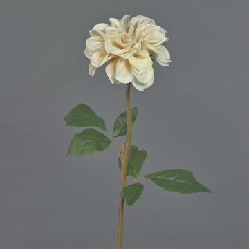 Kunstblume Dahlie BREDANA, beige, 60cm, Ø11cm Kunstblume Dahlie BREDANA, beige, 60cm, Ø11cm