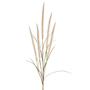 Dekozweig Federborstengras AREVALO mit Rispen, creme, 135cm