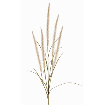 Dekozweig Federborstengras AREVALO mit Rispen, creme, 135cm