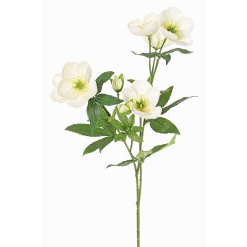 Künstlicher Christrosen Zweig ANYALA, creme-weiß, 60cm, Ø5-6cm Künstlicher Christrosen Zweig ANYALA, creme-weiß, 60cm, Ø5-6cm