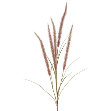 Dekozweig Federborstengras AREVALO mit Rispen, mauve, 135cm