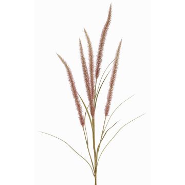 Dekozweig Federborstengras AREVALO mit Rispen, mauve, 135cm