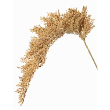 Künstlicher Sorghumhirse Zweig BOTTO mit Ähren, beige, 95cm