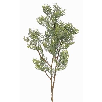 Dekozweig Zypresse künstlich SILVARIO, grau-grün, 75cm