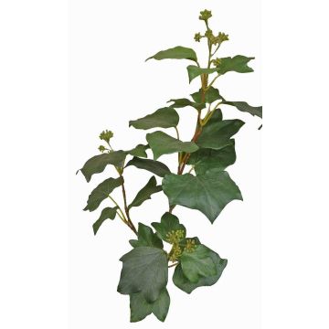 Unechter Efeu Zweig TOYAH mit Früchten, grün, 65cm