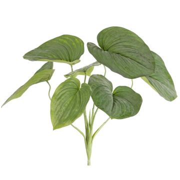 Kunstpflanze Funkie RAIATEA auf Steckstab, grün, 65cm