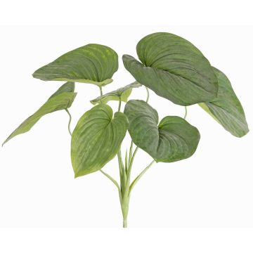 Kunstpflanze Funkie RAIATEA auf Steckstab, grün, 65cm