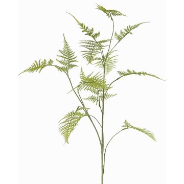 Deko Asparagus plumosus Zweig UHERA, grün, 140cm