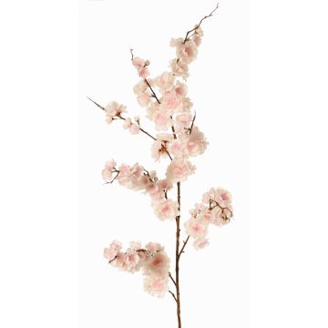 Dekozweig Japanische Zierkirsche ZORYA mit Blüten, rosa-creme, 125cm Dekozweig Japanische Zierkirsche ZORYA mit Blüten, rosa-creme, 125cm