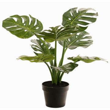 Philodendron Monstera Deliciosa Kunstpflanze QUENTEA, Dekotopf, 60cm Philodendron Monstera Deliciosa Kunstpflanze QUENTEA, Dekotopf, 60cm