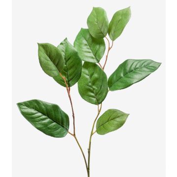 Dekozweig Apfelbaum KONSTANTIN, grün, 75cm Dekozweig Apfelbaum KONSTANTIN, grün, 75cm