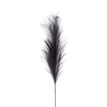 Dekozweig Pampasgras Rispe NYX, dunkelblau, 100cm