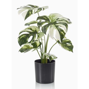 Fake Philodendron Monstera Deliciosa Variegata ZAINE, grün-weiß, 40cm