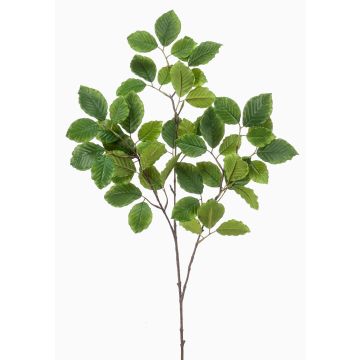 Künstlicher Buchen Zweig SIFOS, grün, 95cm Künstlicher Buchen Zweig SIFOS, grün, 95cm