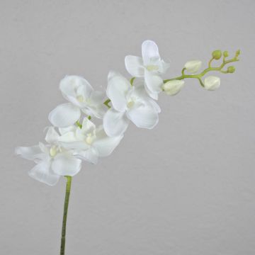 Phalaenopsis Orchideenzweig künstlich AMARNE, weiß, 85cm, Ø7-11cm