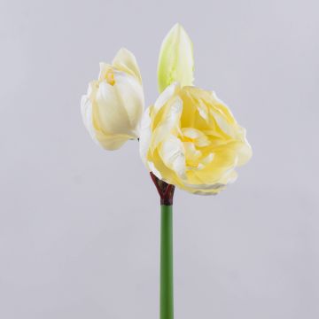 Künstliche Amaryllis GRELTA, creme-gelb, 80cm