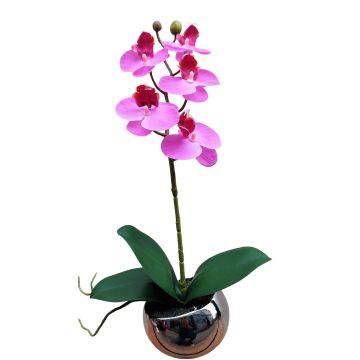 Deko Phalaenopsis Orchidee ZARMINAH im Dekotopf, Wurzeln, cerise, 35cm