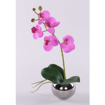 Deko Phalaenopsis Orchidee ZARMINAH im Keramiktopf, Wurzeln, cerise, 30cm