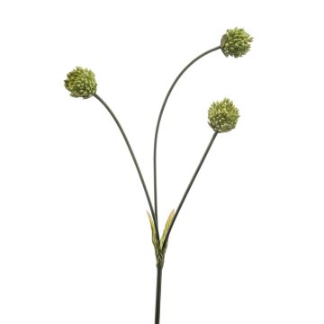 Allium Zweig künstlich VILMARA, grün, 70cm
