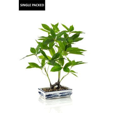 Bonsai künstliche Glückskastanie IVANO in Keramikschale gemustert, grün, 60cm