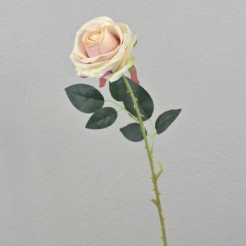 Künstliche Rose ELEAZAR, creme-rosa, 65cm, Ø9cm Künstliche Rose ELEAZAR, creme-rosa, 65cm, Ø9cm