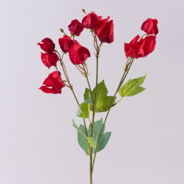 Künstlicher Zweig Physalis SEVERINA mit Früchten, rot, 60cm Künstlicher Zweig Physalis SEVERINA mit Früchten, rot, 60cm