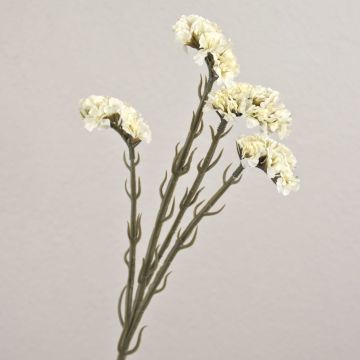 Kunstblume Strandflieder AYISHA, Trockenoptik, weiß, 65cm, 3,5x6cm