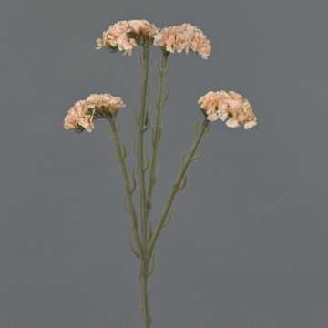 Kunstblume Strandflieder AYISHA, Trockenoptik, creme-rosa, 65cm, 3,5x6cm