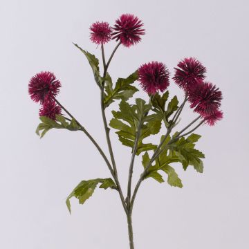 Künstlicher Färberdistel Blumenzweig TRUDBERTA, Trockenoptik, burgunderrot, 55cm, Ø3-4cm
